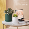 Ceramic Plant Pot with Saucer Modern Indoor Outdoor Flower Pot Home Decor Ceramic Planter Nordic Plant Pot with Tray