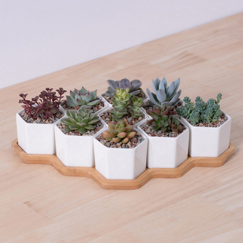 Set of 4/7/9/10 Hexagon Flowerpots White Ceramic Succulent Plant Pot with Bamboo Stand Home Office Christmas New Year Decoration