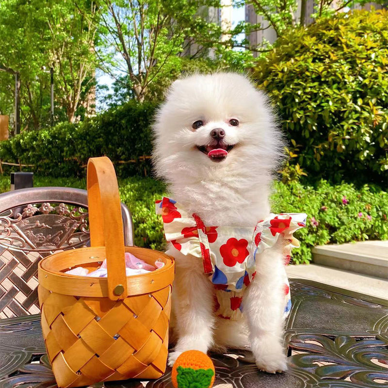 New Sweet Dog Pet Clothes Summer New Floral Flying Sleeve Short Skirt Schnauzer Dog Cat Thin Non-woven Sunflower Vest Clothes