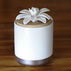 Luxury Ceramic Reed Diffuser Bottle with Cheap Price