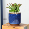 Ice Cracked Mini Desk Combination of Meat Small Fresh Color Ceramic Flowerpot