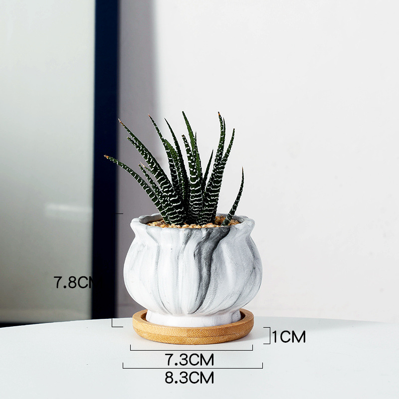 Flowerpot Ceramic Succulent Flowerpot Water Transfer Printing Home Gardening Decoration