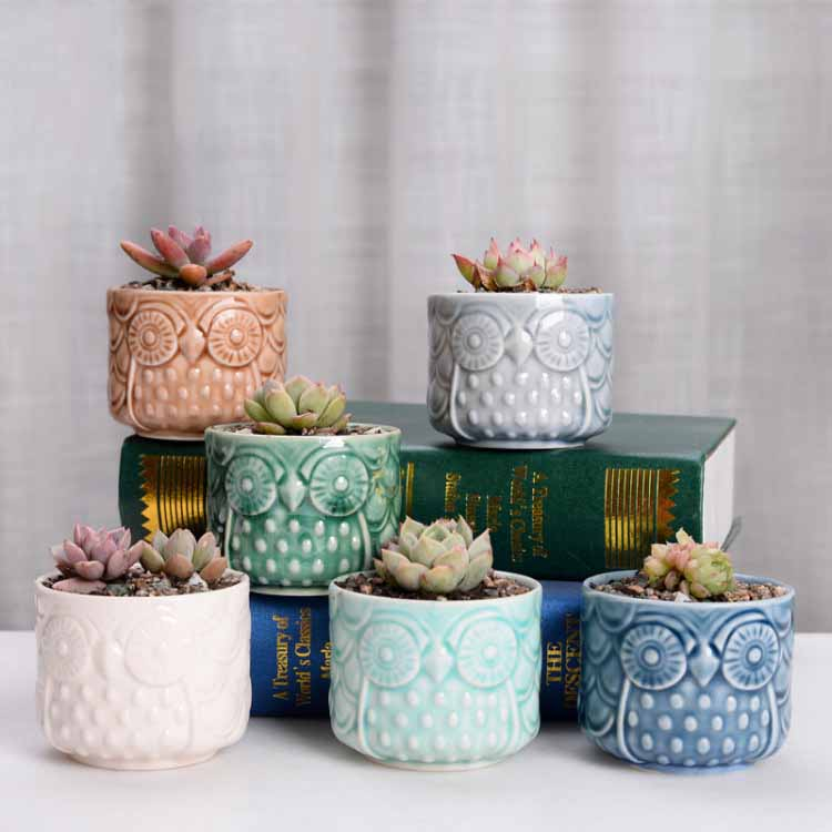 Owl Animal Flower Pot Ceramic Crafts Office Home Furnishings