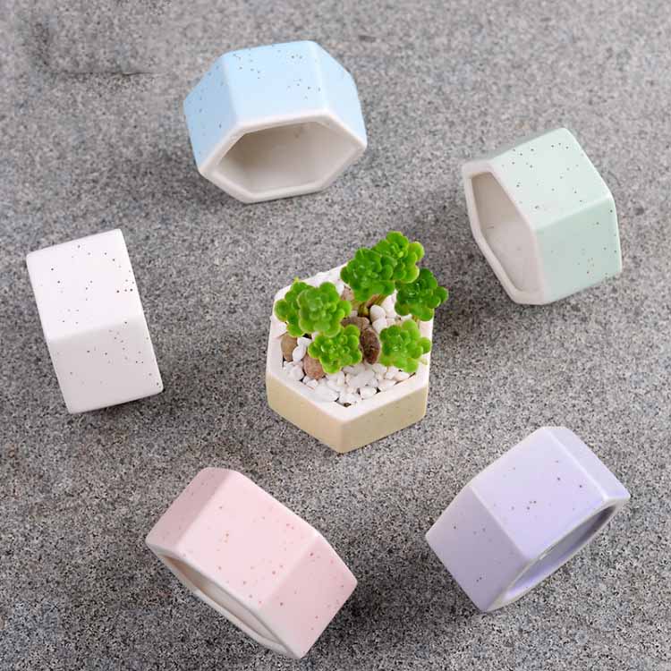 Succulent Flowerpot Colorful Hexagonal Pot Succulent Ceramic Pot