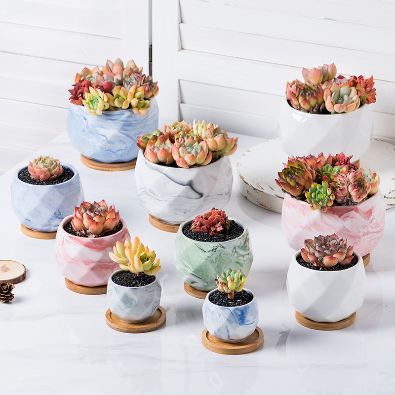 Cheapest Succulent Ceramic Flower Pot Plant Pots Wholesale