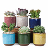 Ice Cracked Mini Desk Combination of Meat Small Fresh Color Ceramic Flowerpot