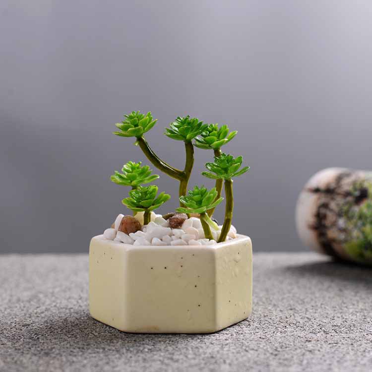 Succulent Flowerpot Colorful Hexagonal Pot Succulent Ceramic Pot
