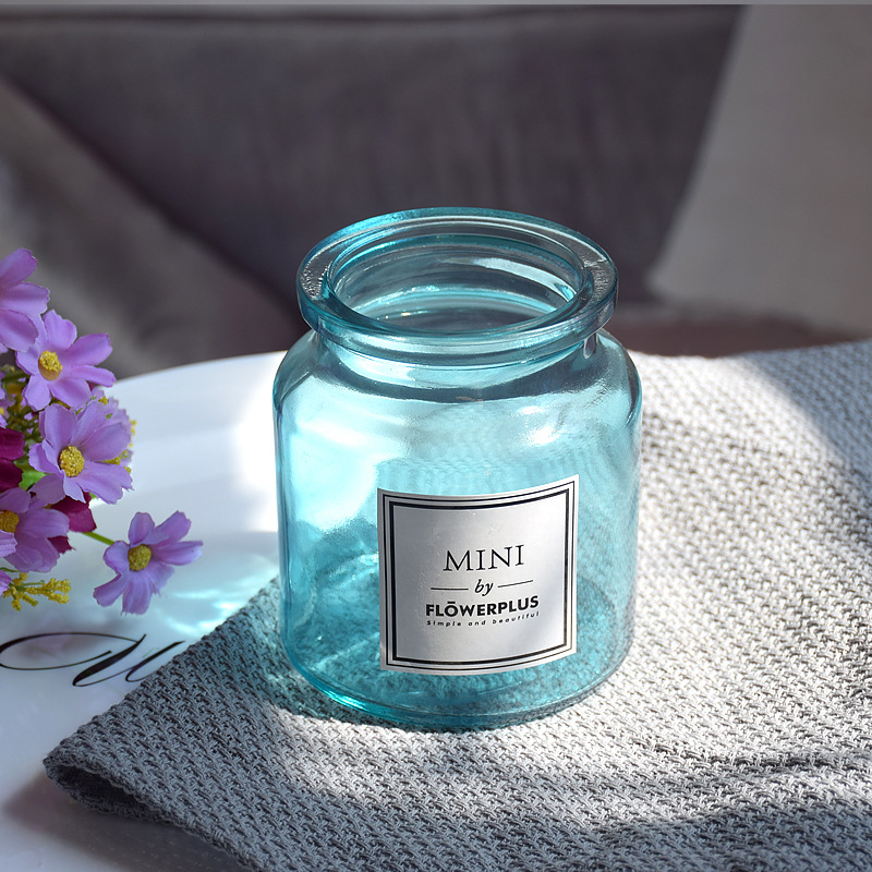 Art Glass Vase Blown,hydroponic Glass Terrarium Vase Wholesale Buy