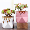 Simple Gold Or Black Metal Stand Flower Pot with White White Ceramic Pot Suit
