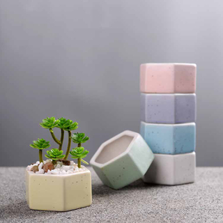 Succulent Flowerpot Colorful Hexagonal Pot Succulent Ceramic Pot